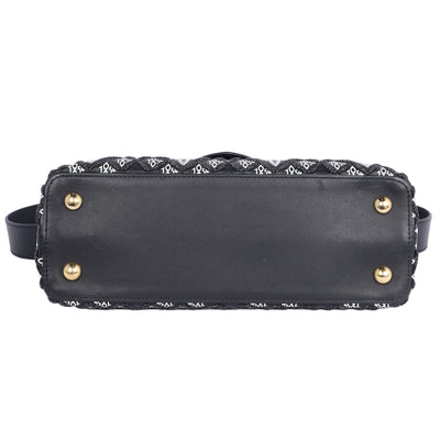 Capucines Bag Limited Edition Since 1854 Monogram Calfskin